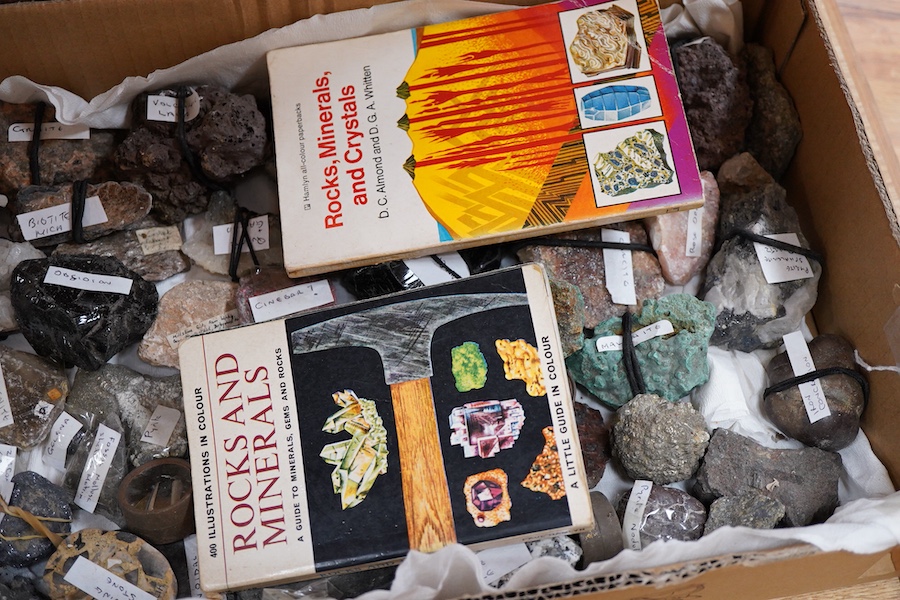 A collection of mineral samples, many with labels, together with two pocket reference books, part of the collection contained within an ebonised pine box; 32 x 18.5 x 19.5cm